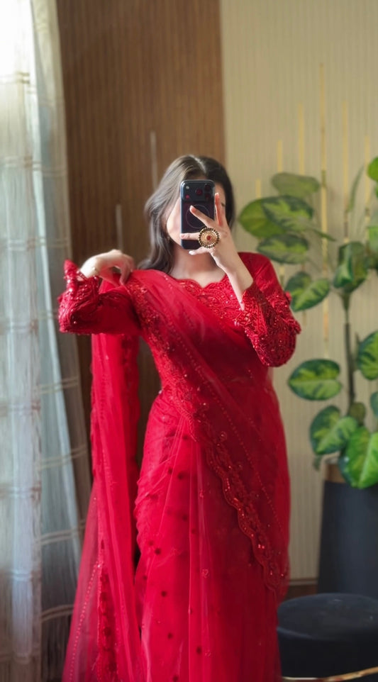 Luxury Black Fancy Embroidered Saree (RED RUBBY)